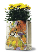 Tyvek bag printed on Tyvek Graphics media using UV cure.