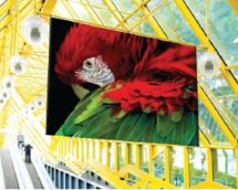 Colorful banner printed on Tyvek Graphics media